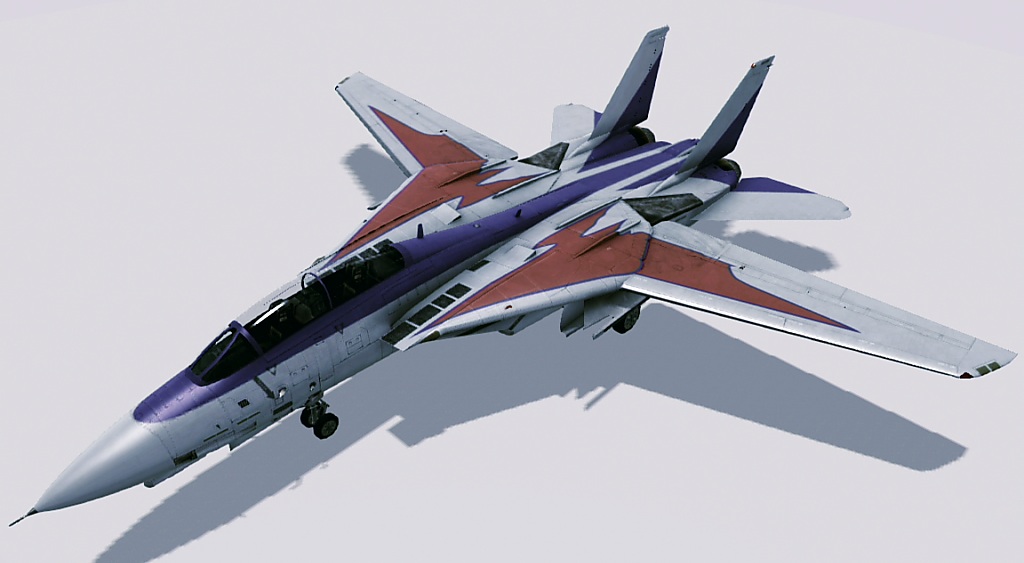 F-14A AC Skin 01.jpg