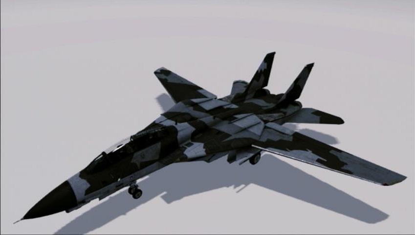 F-14A Normal Skin 01Gray.jpg