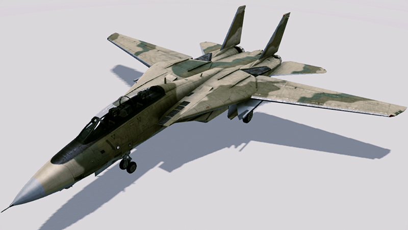 F-14B_-PC-_Wiki1.jpg