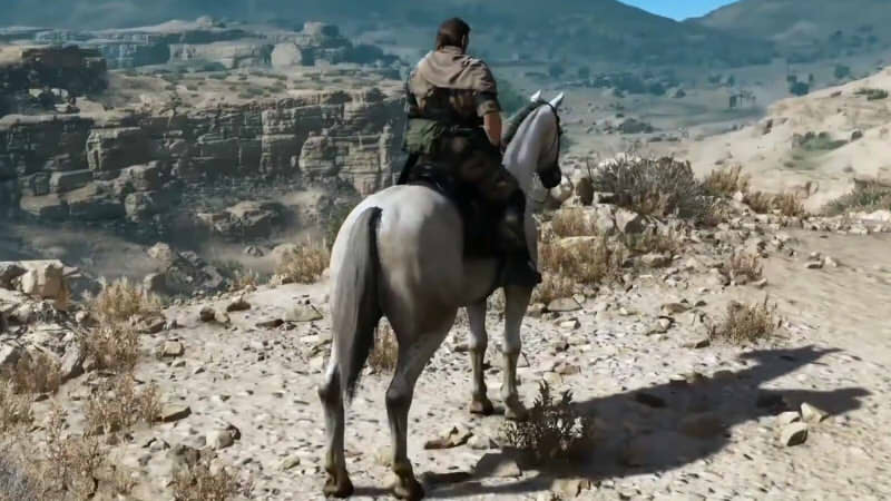 Horse.jpg